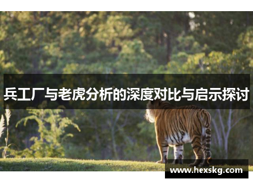 兵工厂与老虎分析的深度对比与启示探讨